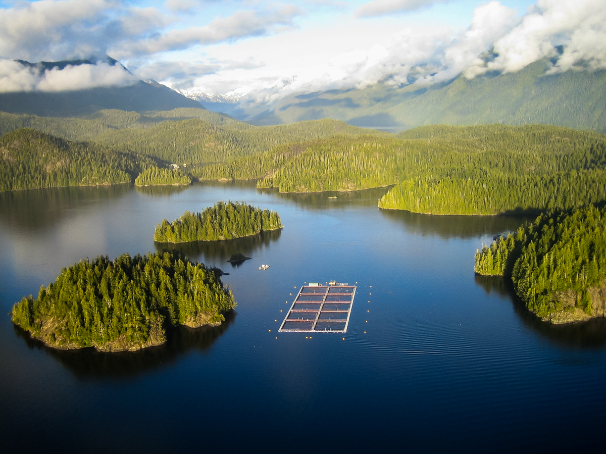 Sustainable salmon farm in a bay with forested mountains